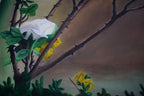 Haunting_closeup_alqin2s_4.jpg