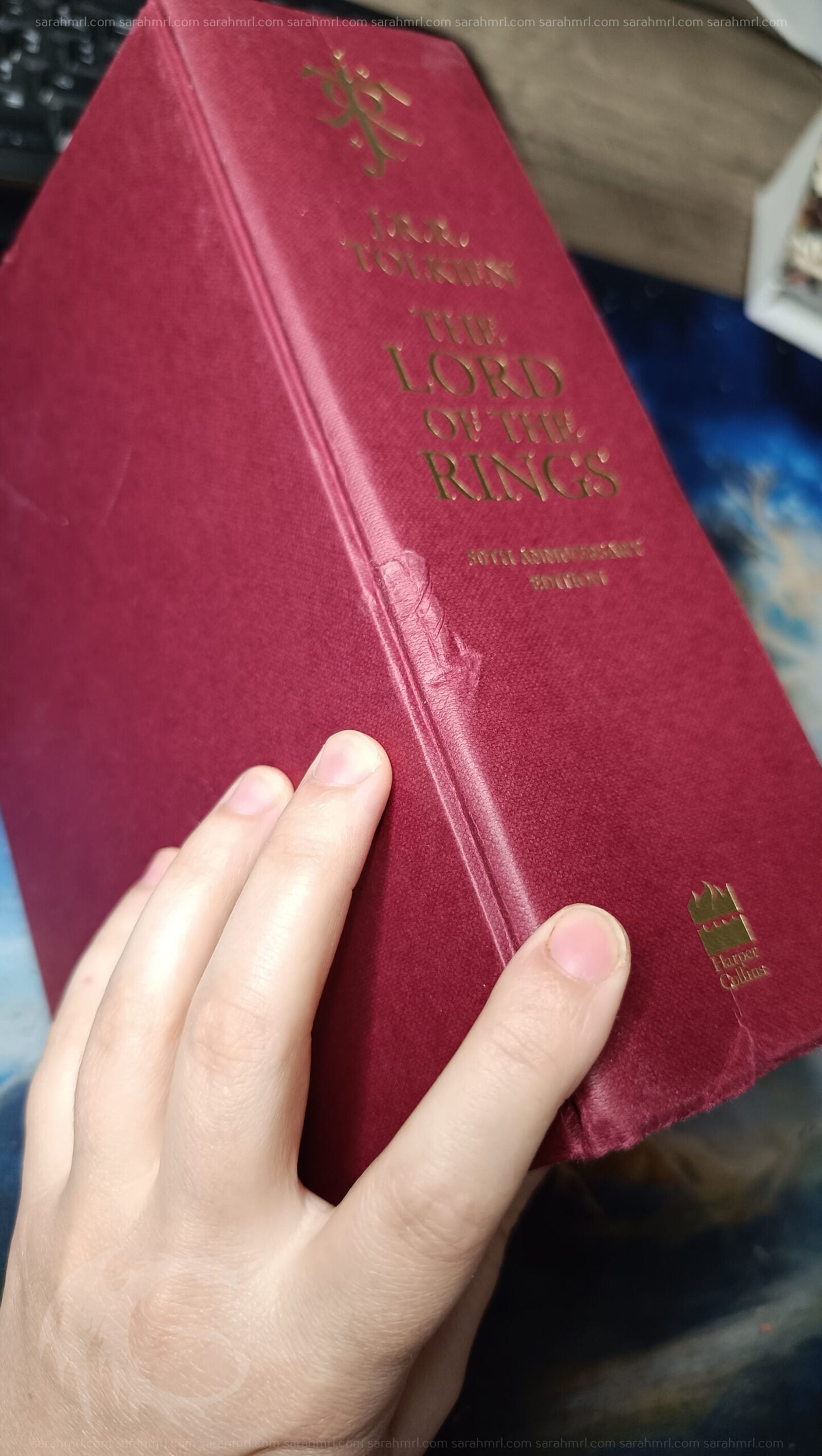 012_lotr-samfrodo-HC-2004_sarahmrl (24)