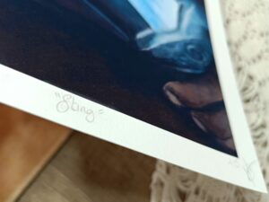 Sting (Limited Edition Print)