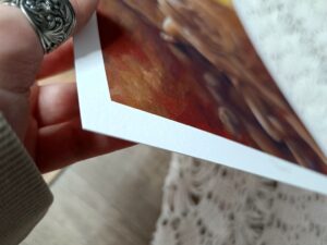 Award (Limited Edition Print)